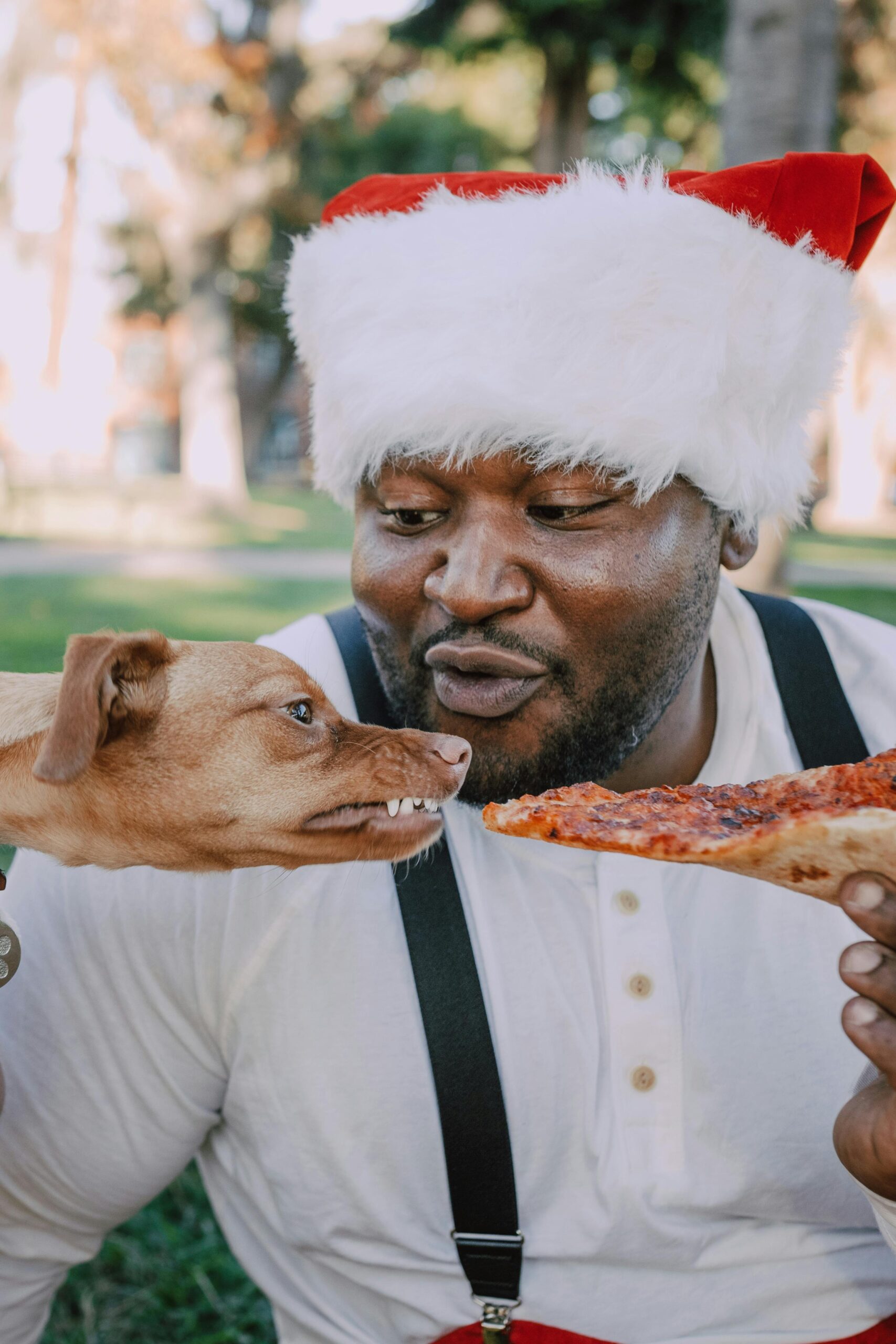Un perro rechazando la comida