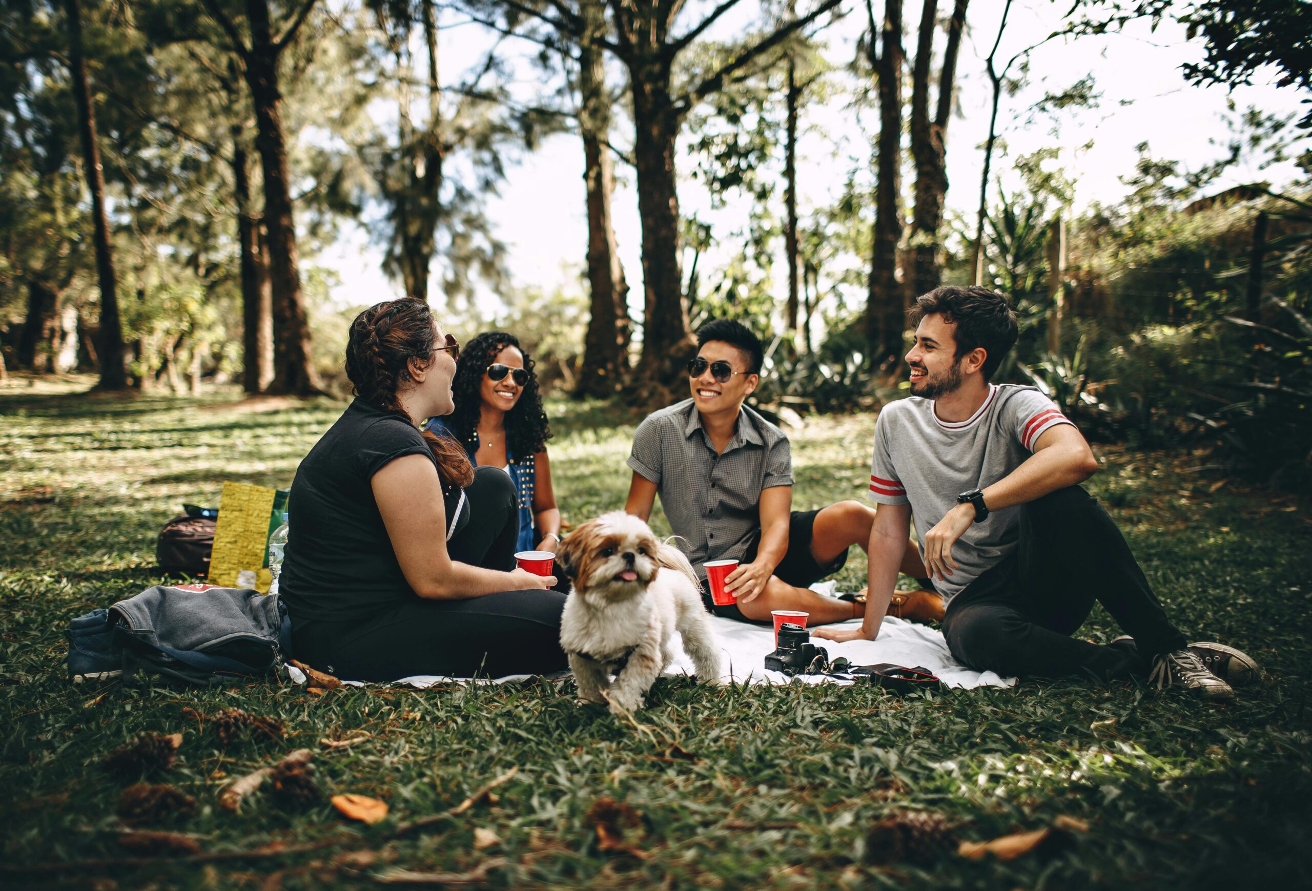 personas interactuando con perros